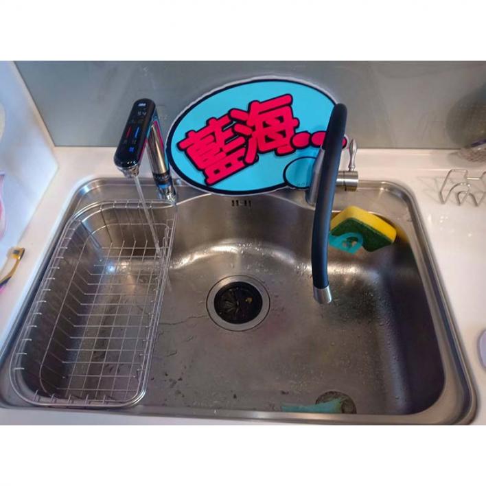 109.05 桃園葉小姐